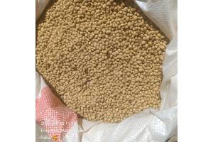 Mais, soia, noci, ecc. from Mozambico